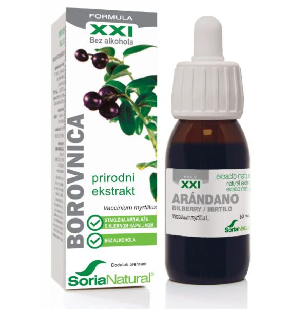 Soria Borovnica xxl